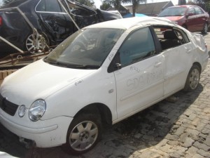 polo_classic1